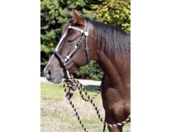 BAREFOOT headstall Oaktlet with genuine rawhide VB/WB