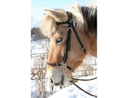 Hackamore « Flower » de Barefoot (sans sangles)