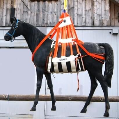 Harnais de levage et de récupération pour chevaux et bovins