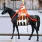 Harnais de levage et de récupération pour chevaux et bovins