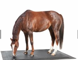 HIT Lit pour chevaux Comfort 2.0 1,8m x 2,4m, fret inclus en Allemagne