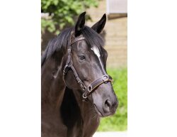 BAREFOOT Shape-It Cavesson Noseband 2 black