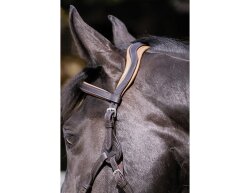 BAREFOOT Contour Physio Headstall Pony black