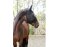 KERBL Masque anti-mouches Cob