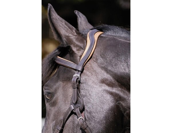 BAREFOOT Contour Physio têtière cob noir