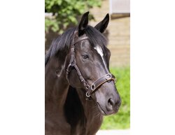 BAREFOOT Contour Physio têtière cob noir