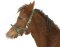 KERBL Licol exclusif pour poulain / mini settery réglable 3 positions argenté