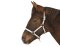 KERBL Licol exclusif pour poulain / mini settery réglable 3 positions argenté