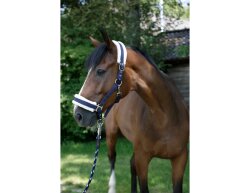 KERBL Licol Flauschi avec fourrure tissée taille 1 poney bleu