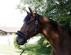 KERBL Licol Flauschi avec fourrure tissée taille 1 poney bleu