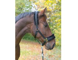 KERBL Licol Flauschi avec fourrure tissée taille 3 demi-sang noir