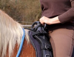 Seat for lunge harness Barefoot