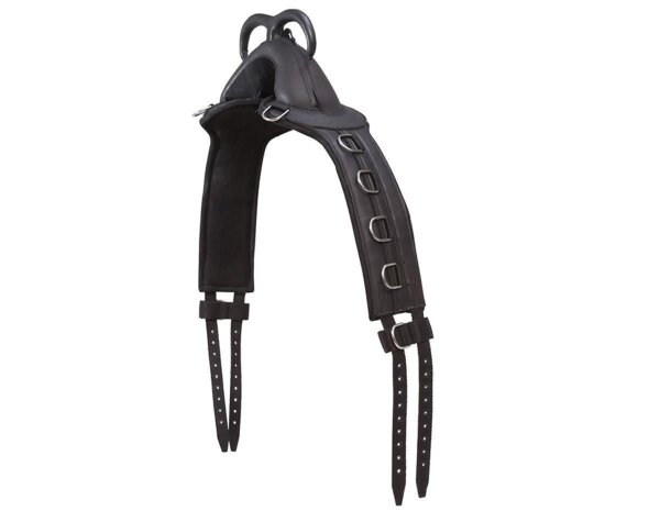 Barefoot® longe / sangle thérapeutique avec poignée-moyen-poney