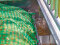 Patura Profi - quadrilatère avec grilles de palissade pour chevaux (prix spécial - pièce exposée), y compris protection du bord du toit + barre de sécurité à trois points