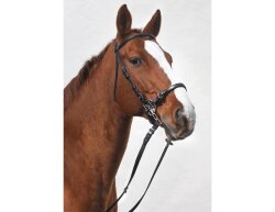 STARBRIDLE Shanks mit Nasen- und Kinnriemen Cob Oak Braun