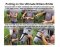 UBB Classic Nylon poney brun