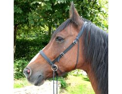 UBB Pro in biothane with only one noseband pony brown