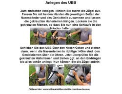 UBB Pro en biothane avec une seule muserolle VB/WB marron