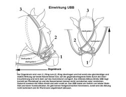 UBB Pro in biothane with only one noseband VB/WB brown