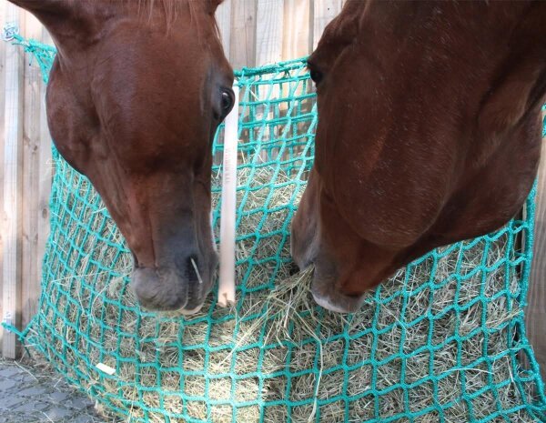 Filet à foin pour chevaux - mailles serrées - taille XL - 2mx1m - 22 kg