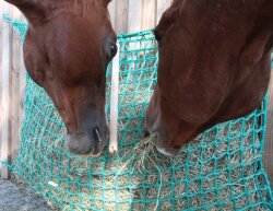 Filet à foin pour chevaux - mailles serrées...