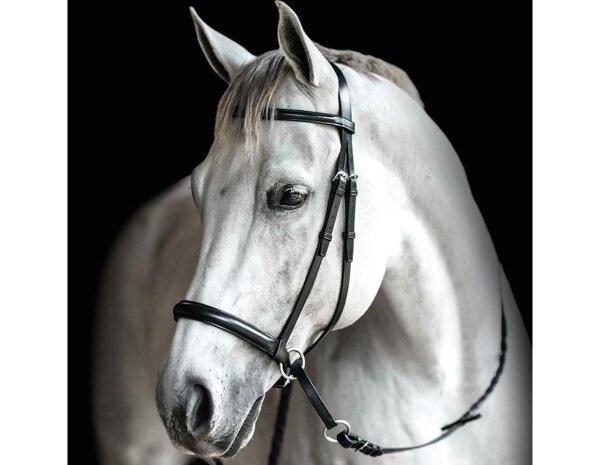 BITLESS BRIDLE Leder - Das Original von Dr. R. Cook