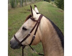 Bitless Bridle Nylon Dr. Cook , all sizes