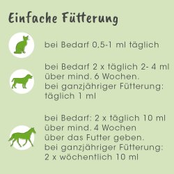 cdVet ArthroGreen Running-Fit 250 ml pour cheval, chien et chat