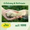 cdVet ArthroGreen Running-Fit 250 ml pour cheval, chien et chat