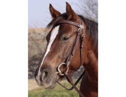 BAREFOOT Missoula Nut and Virginia Rose Bridle