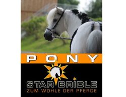 Pony Starbridge aussi pour monter - essayez-le maintenant!