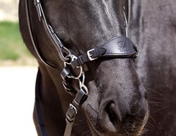 Noseband BAREFOOT