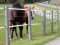 Poteau rond avec armature stable en plastique recyclé 2,00 m L - 80 mm dépaisseur