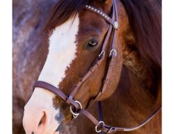 BRIDLE BITLESS Dr. R. Cook Western Beta Biothane DELUX...