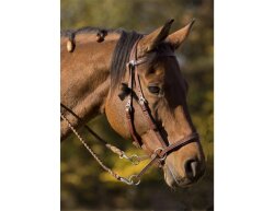 BITLESS BRIDLE Western Style braun Extra Full