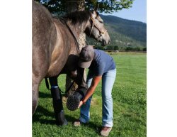 Bottes de thérapie et de baignade EasyBoot REMEDY von EasyCare