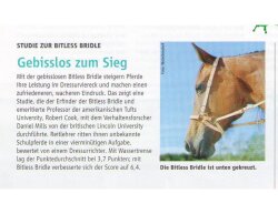 BITLESS BRIDLE Western Deluxe avec rivets antiques Full (WB) noir