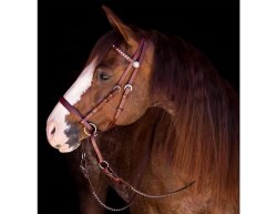 BITLESS BRIDLE Western Beta Deluxe noir moyen