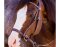 BITLESS BRIDLE Western Beta Deluxe noir moyen