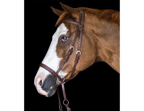 BITLESS BRIDLE Western Beta Marron Poney