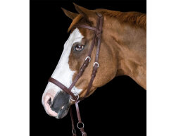 BITLESS BRIDLE Western Beta Brown Pony