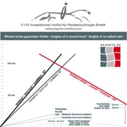 Hoof analysis and advice